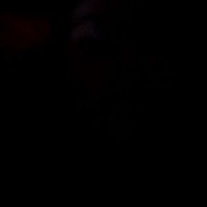 Meet your Posher, Isabella